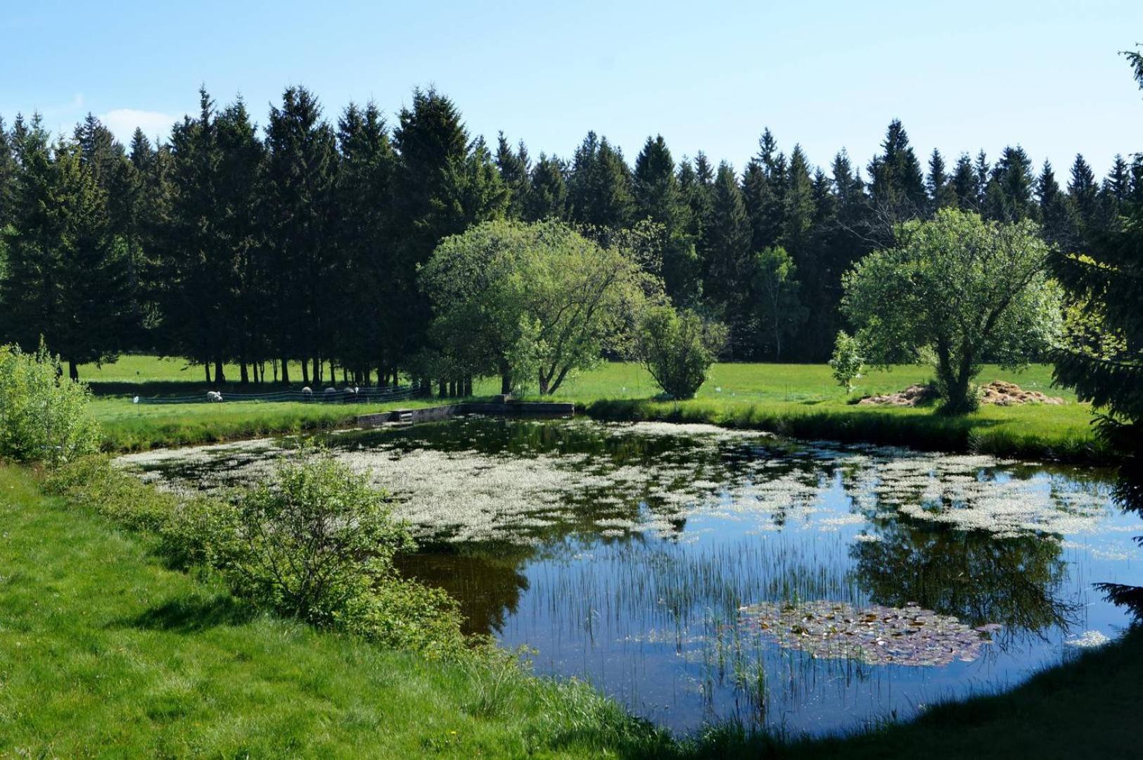 Kammbaude Neuhermsdorf Exterior foto